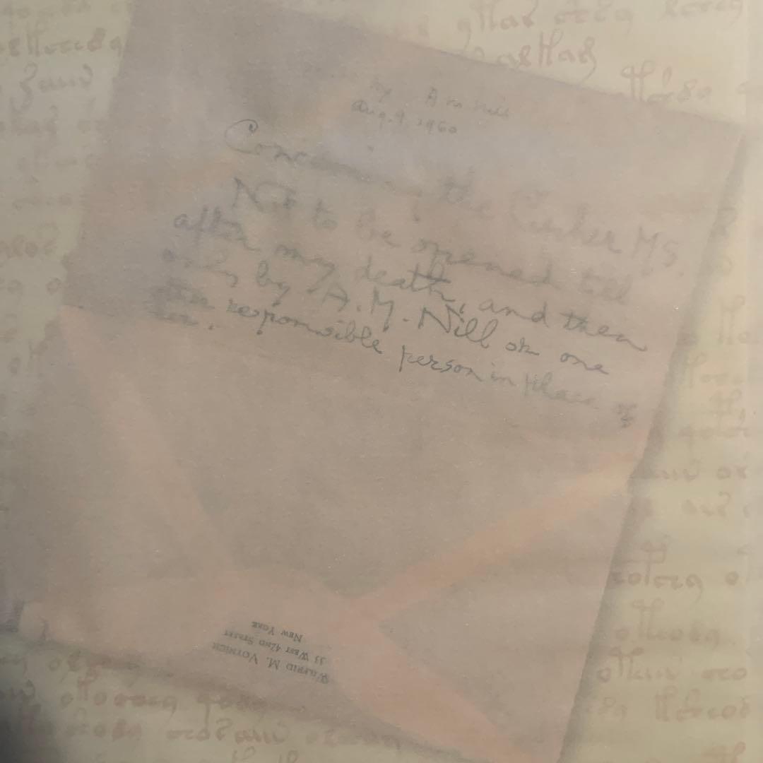 THE VOYNICH MANUSCRIPT - メルカリ