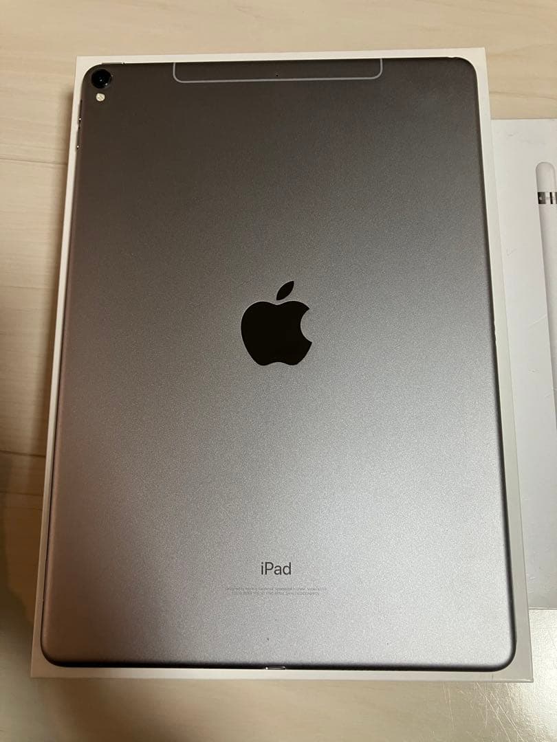 iPad Pro 第1世代256GB+Apple Pencil第2世代