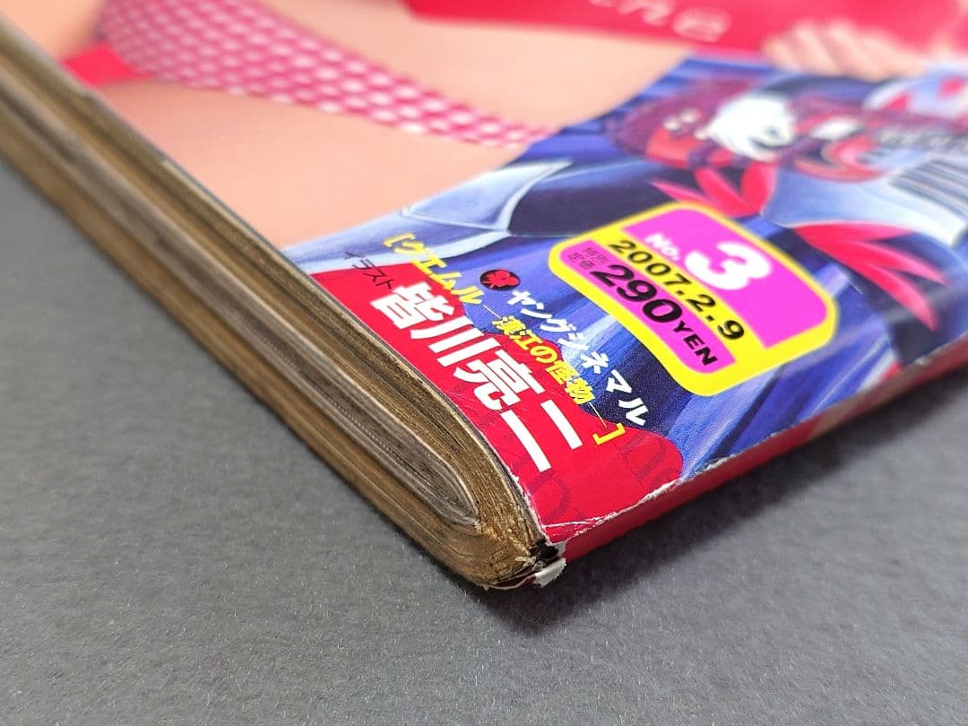 ヤングアニマル2007年3号ベルセルク巻頭カラー第281話掲載/三浦建太郎