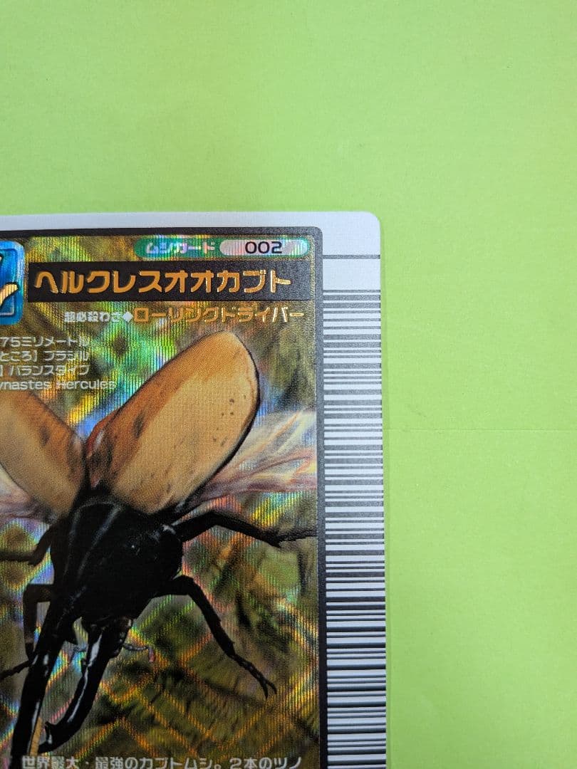 むるてぃしゅ様確認用