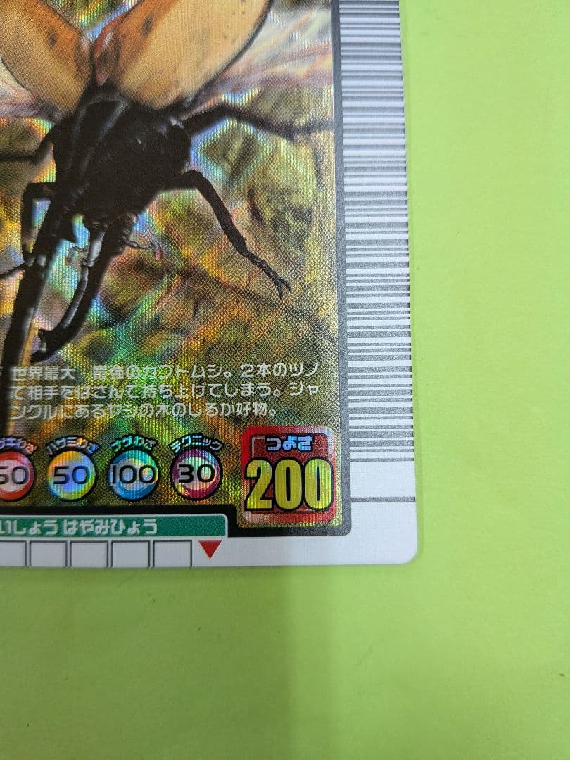 むるてぃしゅ様確認用