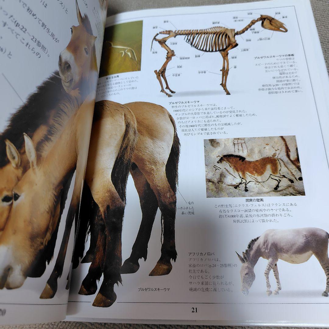 知のビジュアル百科 馬の百科 - メルカリ