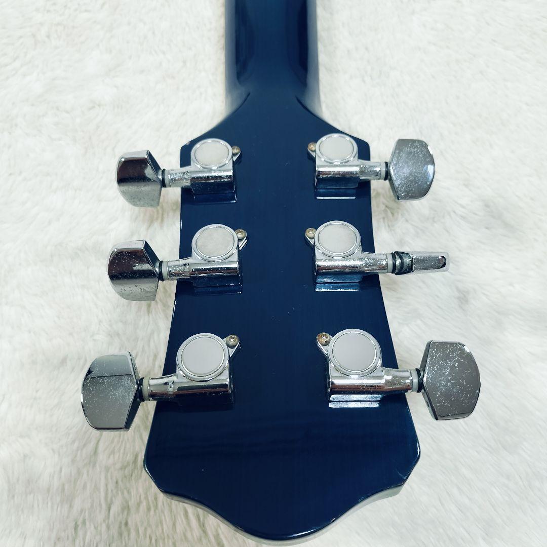 Pro Martin custom タイガーストライプ エレアコ ギター 虎杢