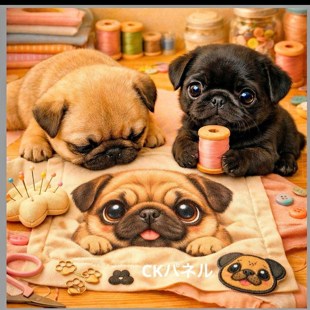 激レアチワワ、パグ、トイプー、柴犬、ポメラニアンパネル生地