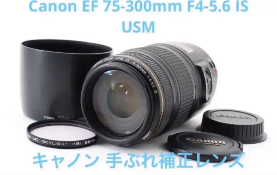 一眼レフカメラ　Canon EF 75-300mm F4-5.6 IS USM Canon EF 75-300mm f/4.0-5.6 III | Telephoto Zoom Lens