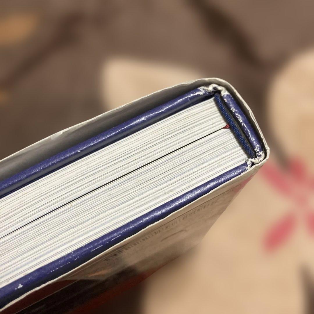 AKI KAURISMÄKI カウリスマキ　ペーター・フォン・バーグ