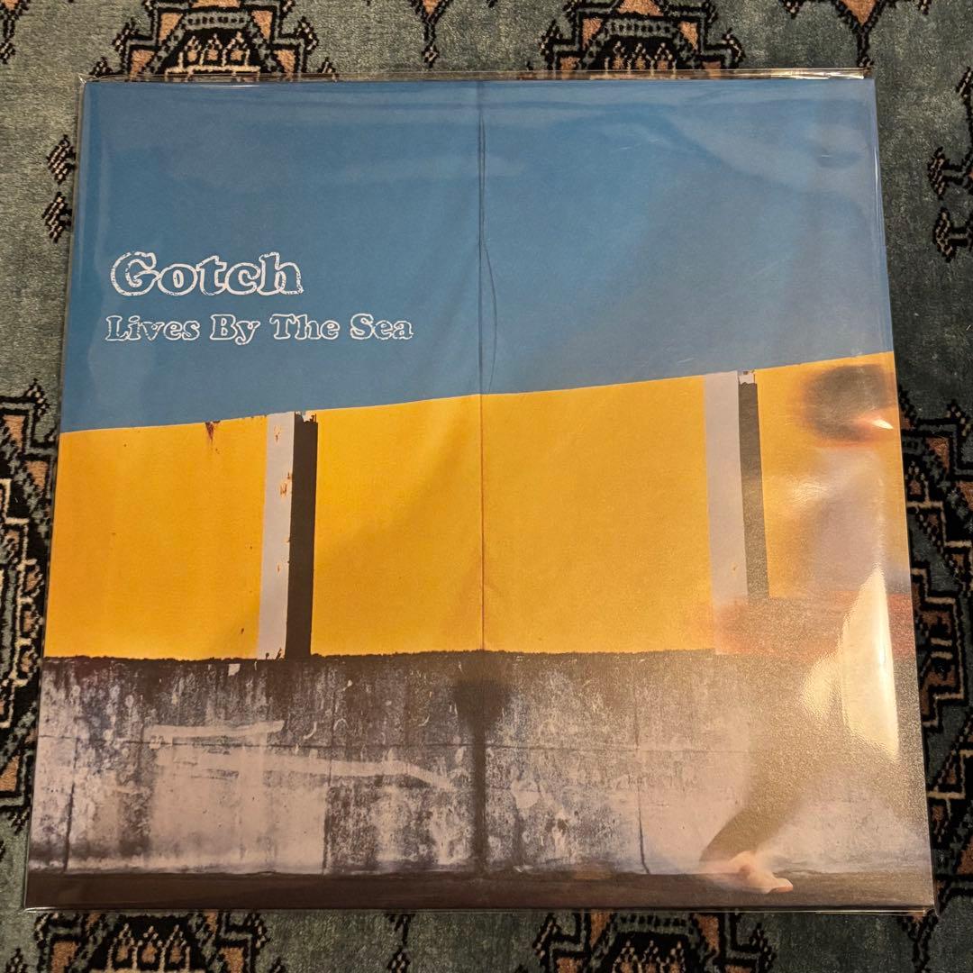 TEOもうひとつの地球 手塚眞 フィンフィン CD 上野洋子 赤城信夫 小川美潮