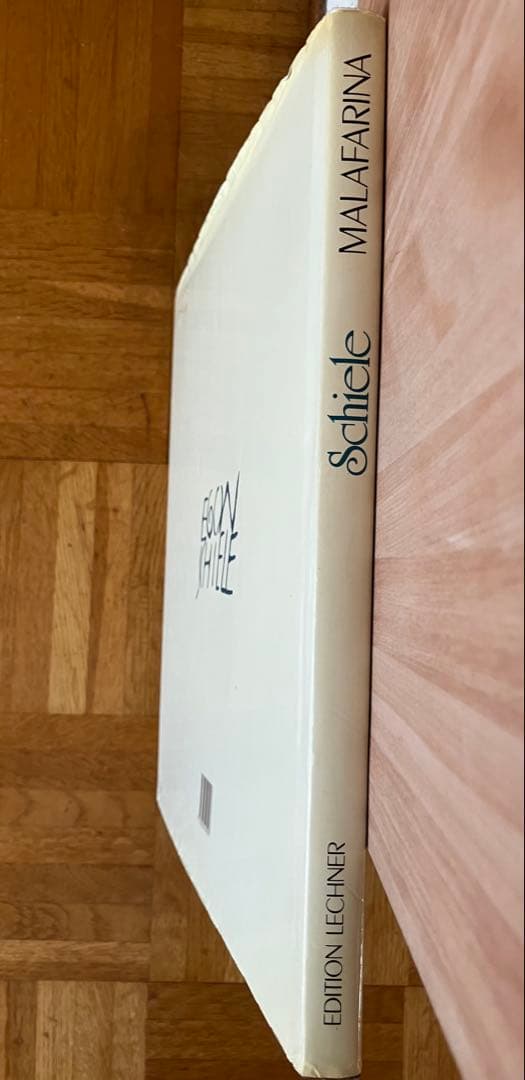 Egon Schiele GIANFRANCO MALAFARINA 画集 - メルカリ