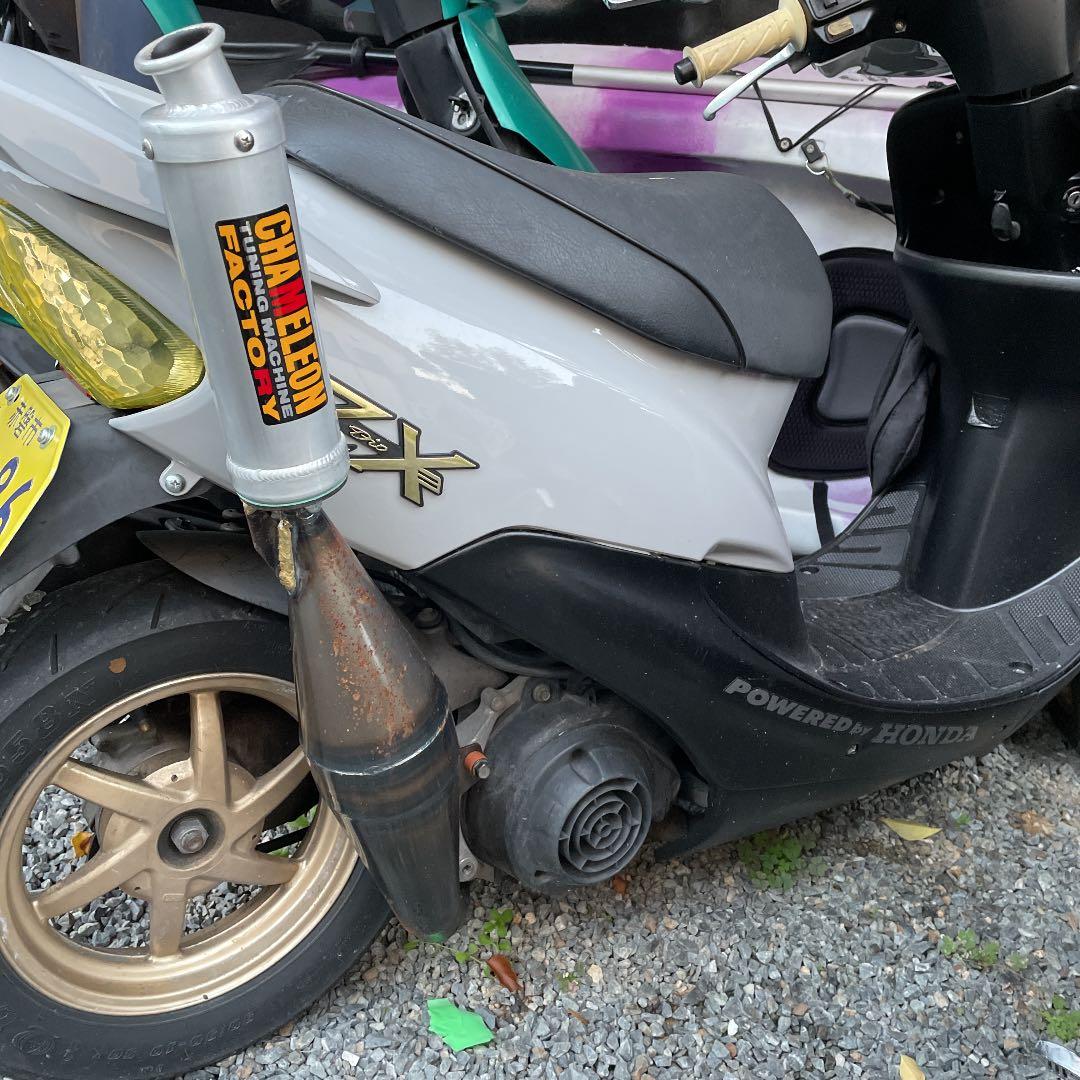 ライブディオZX カメレオンファクトリー - メルカリ