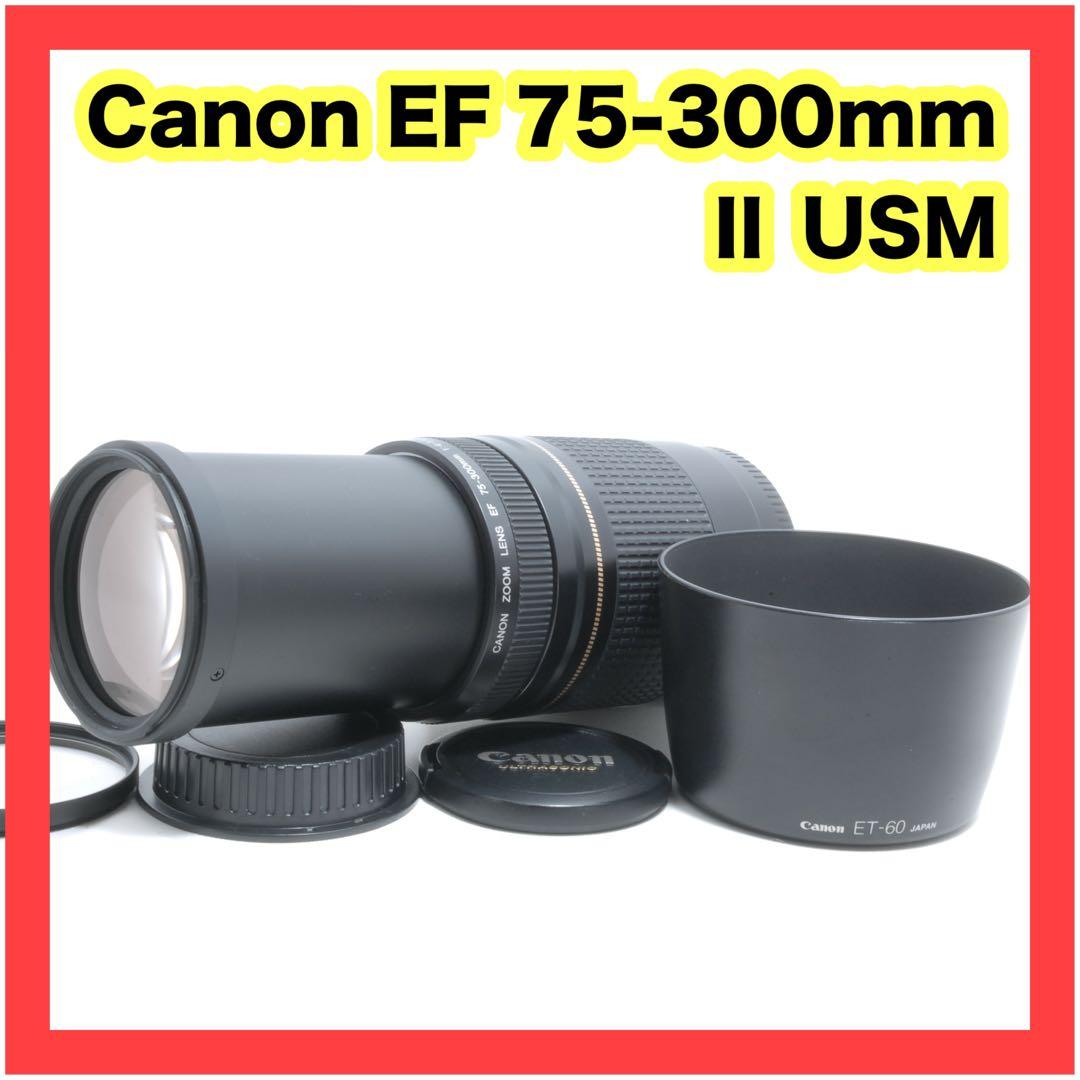 ⭐️キャノン⭐️フード付き⭐️ CANON EF 75-300mm II USM 望遠 Amazon.com : Canon EF 75-300mm f/4-5.6 III Telephoto Zoom Lens for