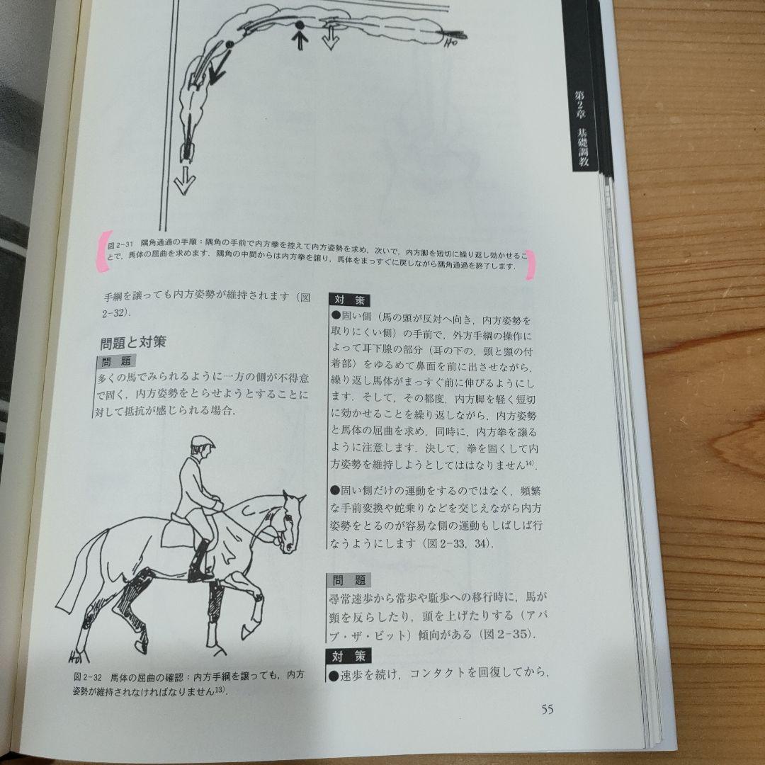 h*2様 ドレッサージュのヒント : 乗馬調教と騎手教育 : ドイツ馬術方式の実