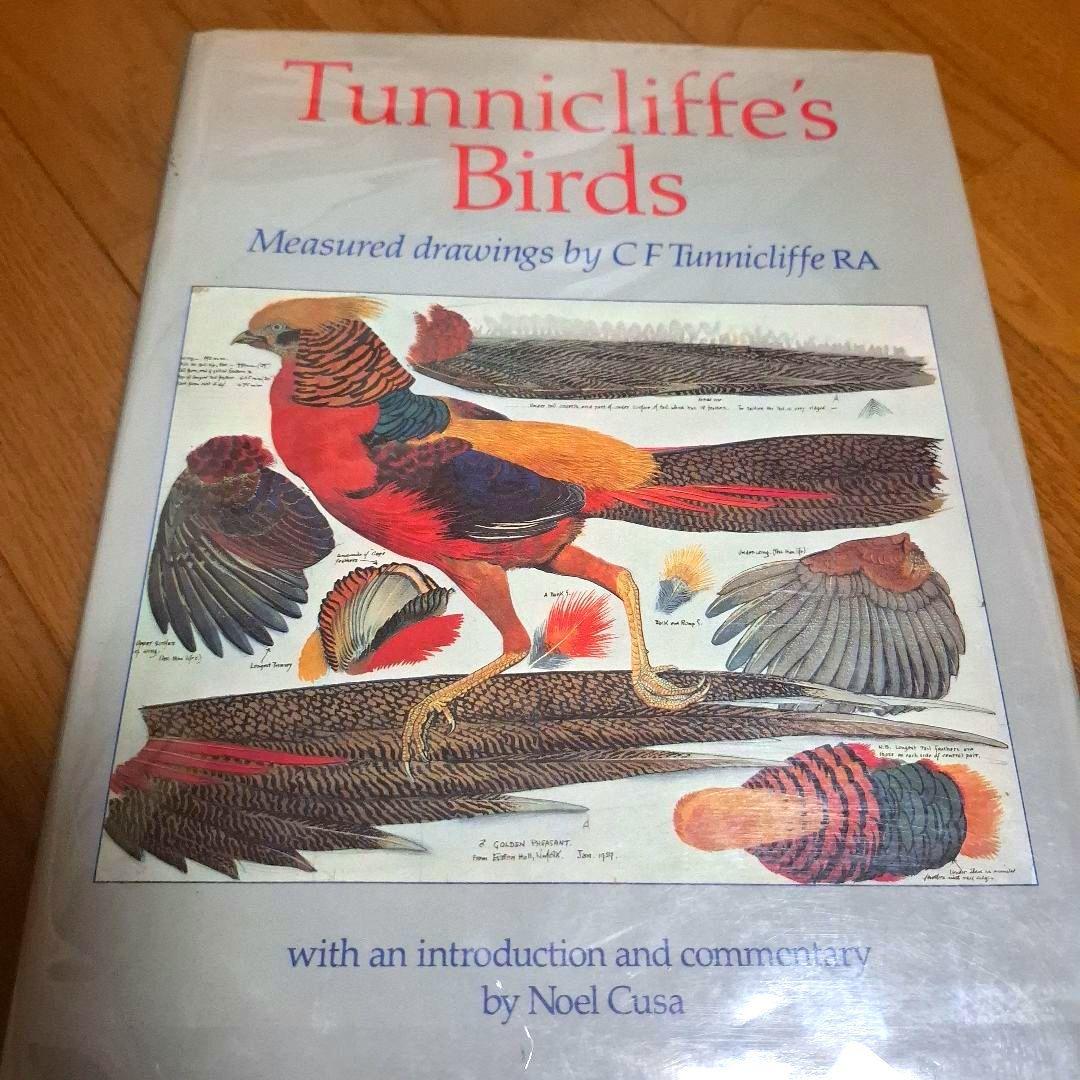 Tunnicliffe's Birds　鳥の測定図集　鳥図鑑　洋書 オーストラリア ケアンズ探鳥図鑑—Field Guide to the Birds of Cairns