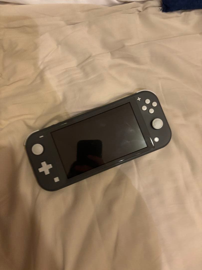 ニンテンドーSwitchライト Nintendo Switch Lite ハイラルエディション | Nintendo Switch | 任天堂