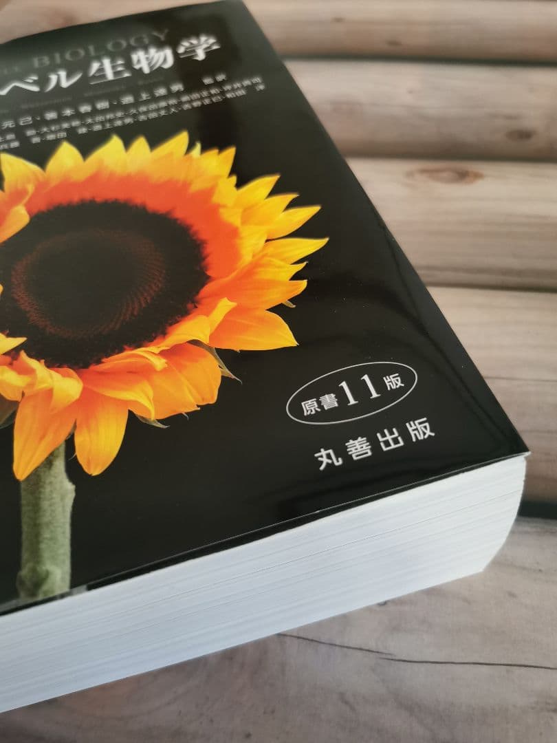 キャンベル生物学 第11版 《美品/書き込み無し》
