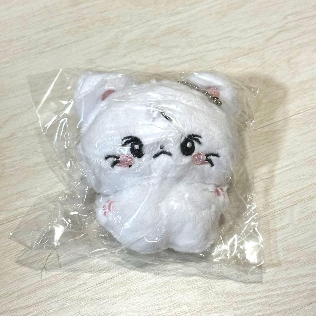 ENHYPEN ジョンウォン ENHAZ ぬいぐるみ ドール ぬい - メルカリ