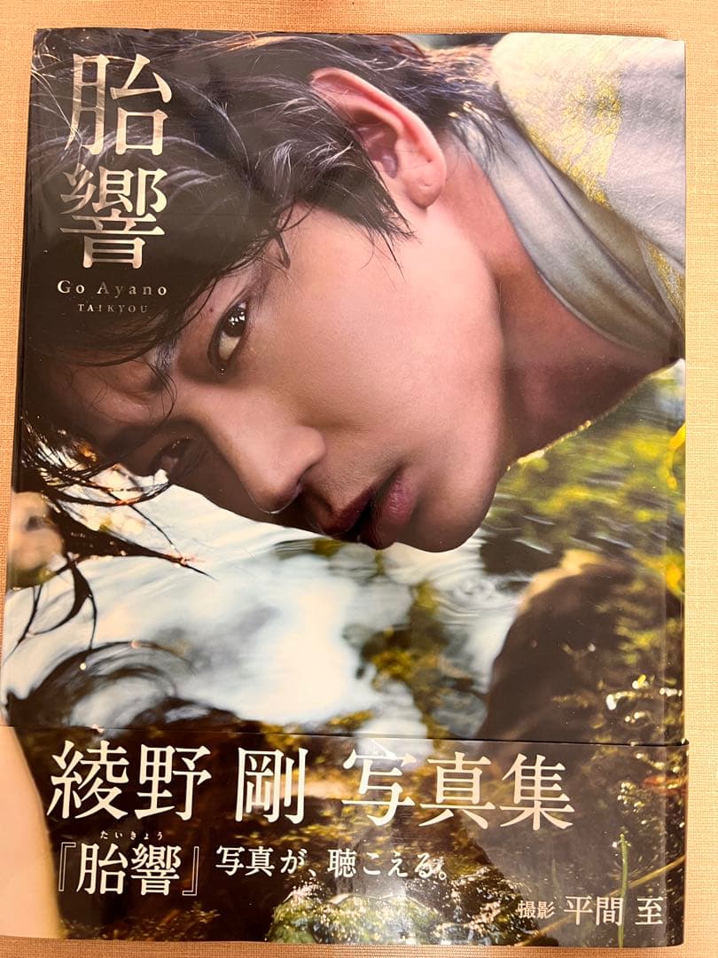 綾野剛 写真集「胎響」 - メルカリ