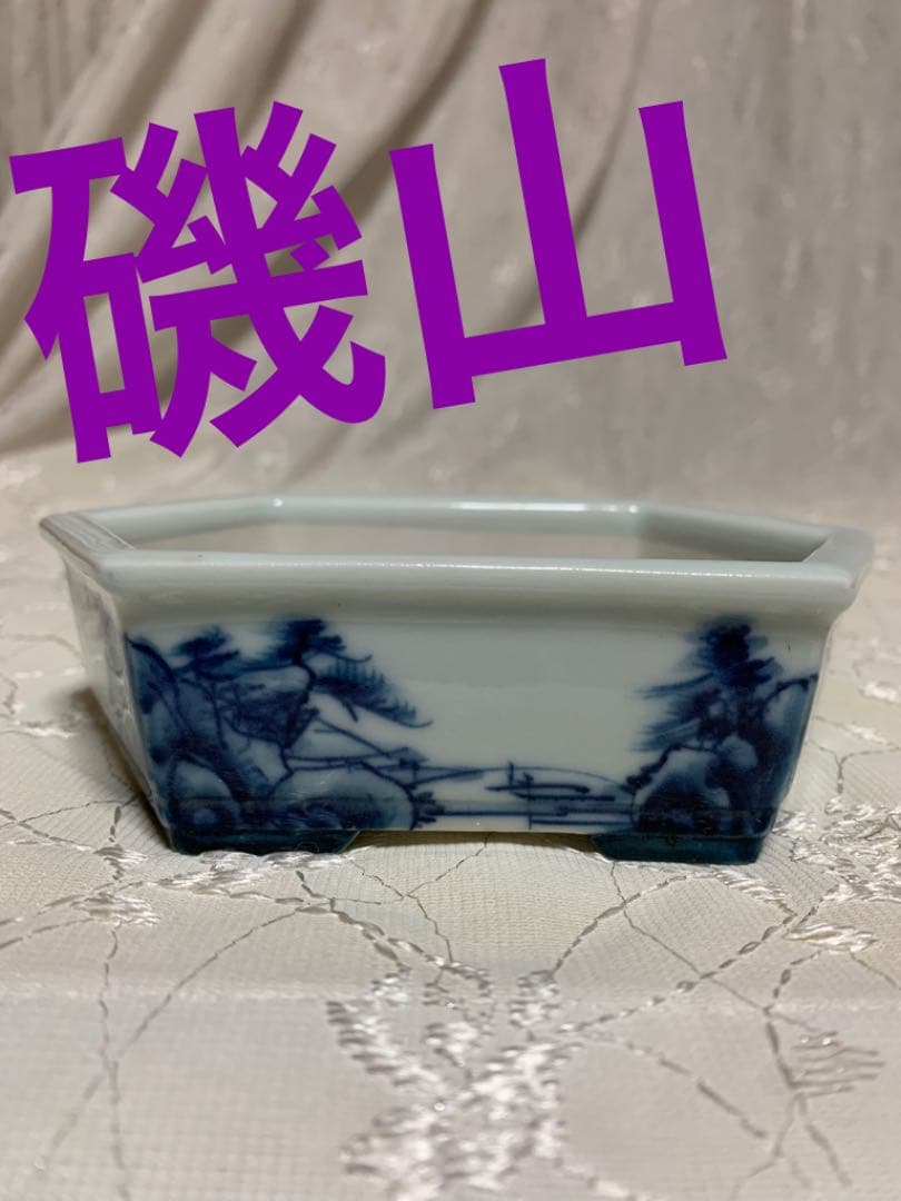 人気鉢！磯山　六角　盆栽鉢 umekichi_rokken-seto
