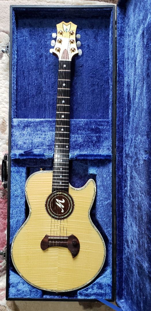 Guyatone EG2100M Mine Nobuhiro model - メルカリ