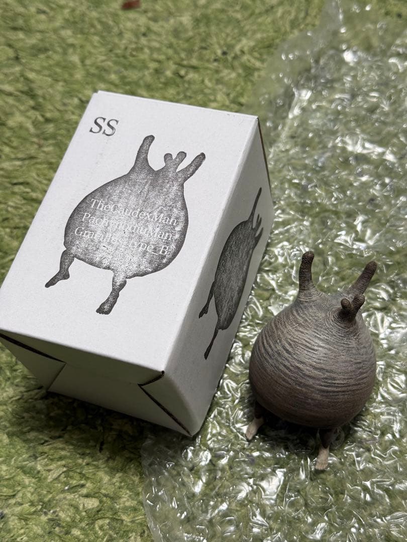 OZWRT TheCaudexMan pachypodiuman SSサイズ - メルカリ