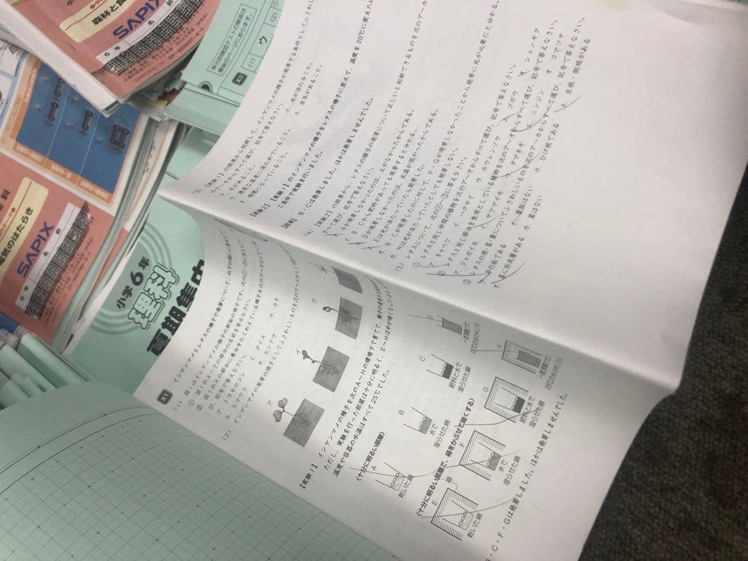 サピックス6年理科 デイリー/夏期集中/春夏/土特 /日特 中古 2025年