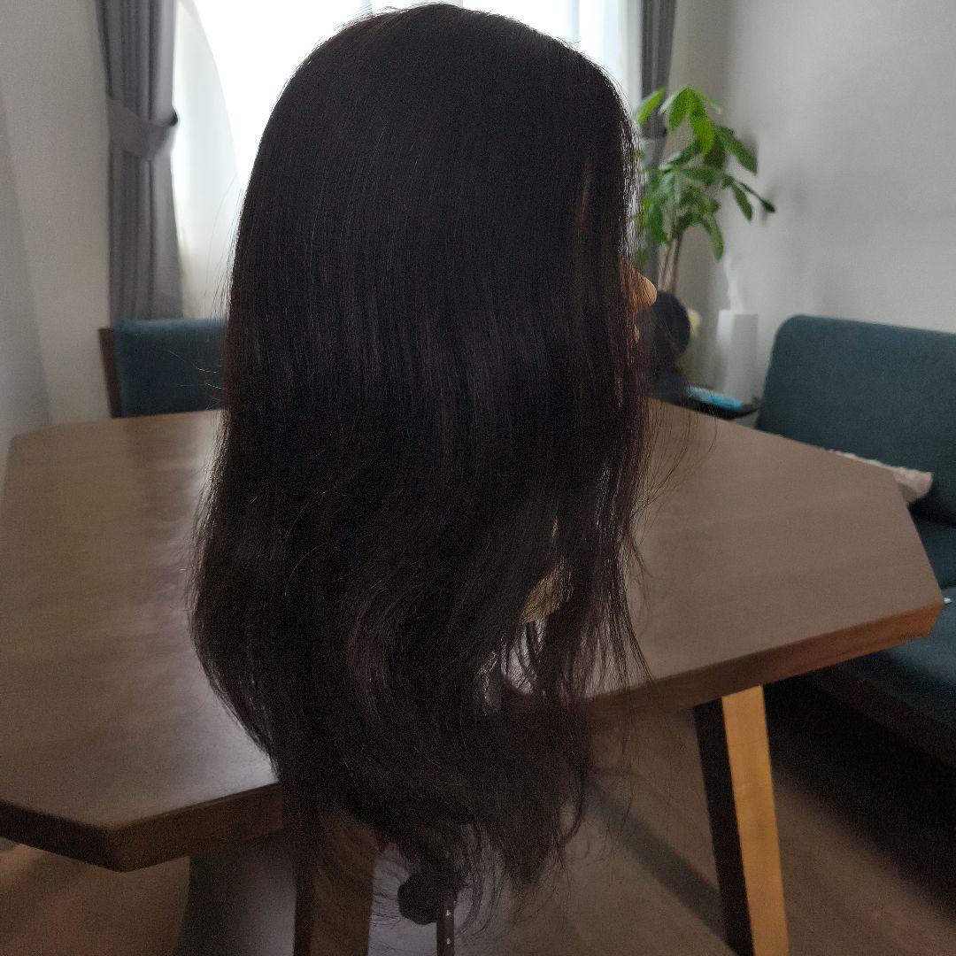 早いもの勝ち】ウィッグ レジーナ アップ用 088 SDL ロング - メルカリ