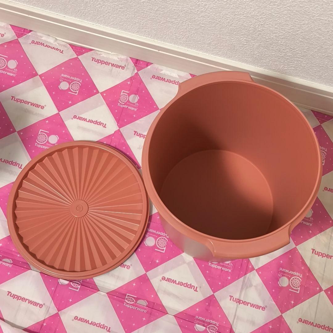 タッパーウェア マキシデコレーター サーモン 容量大 Tupperware