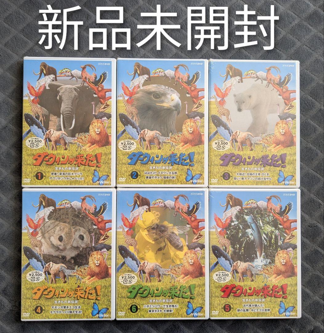 新品未開封 ダーウィンが来た! 生きもの新伝説 DVD 全6巻セット 6本 Amazon.co.jp: ダーウィンが来た!生きもの新伝説DVDブック 49号 2012年