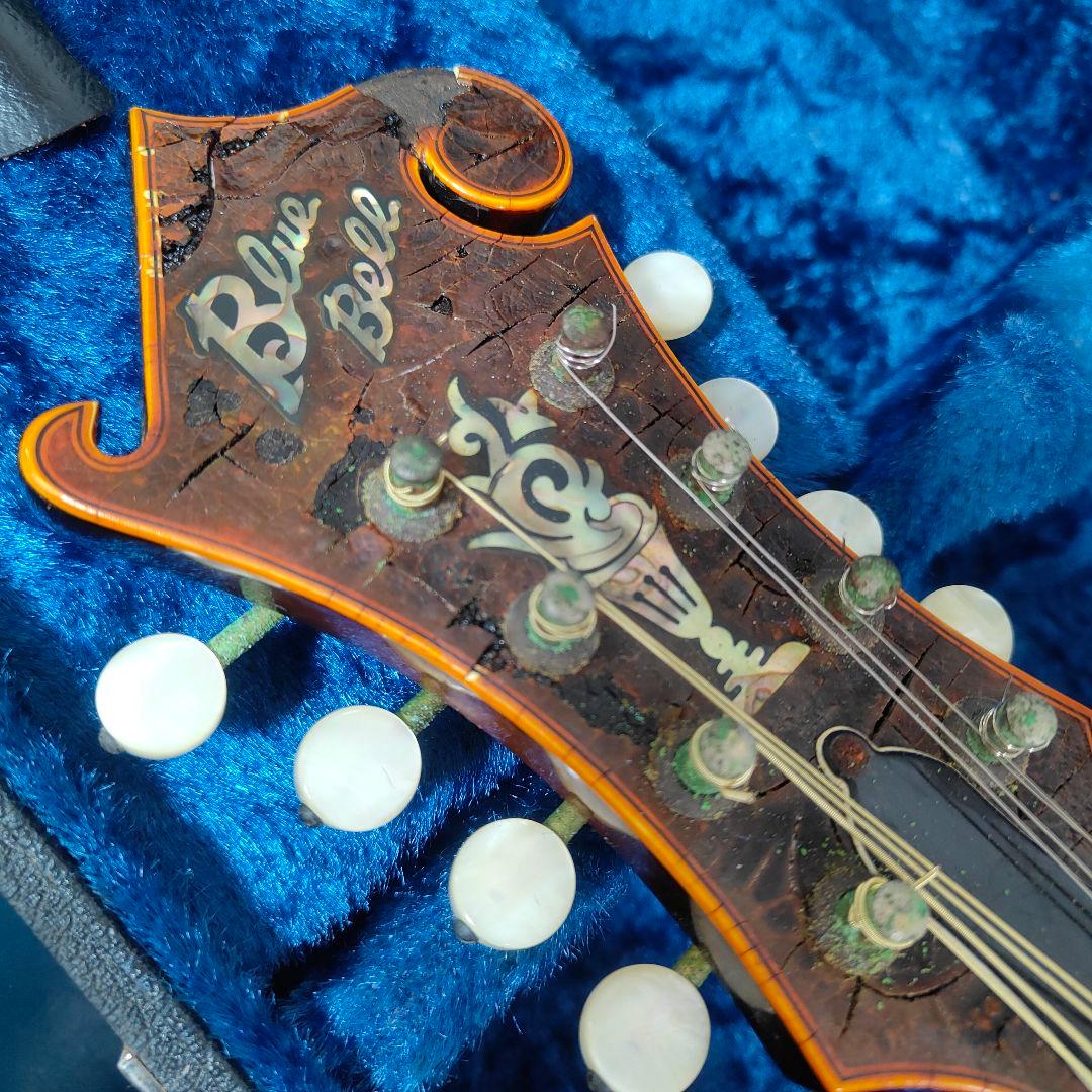 BLUE BELL F-10 マンドリン ブルーベル - メルカリ