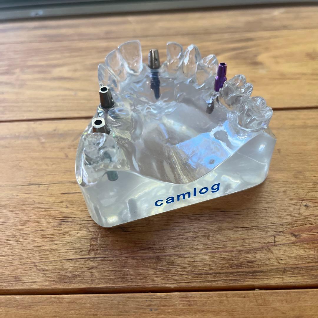 camlog カムログ　インプラントの模型 新】CAMLOGインプラント｜製品詳細ページ | alta-dent