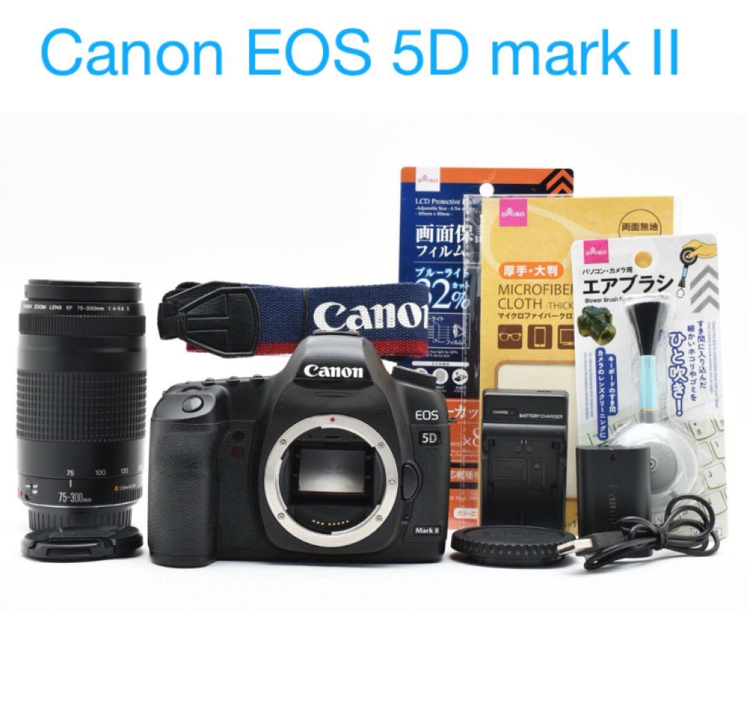 Canon EOS 5D mark II / Canon EF 75-300㎜ Amazon.com : Canon EF 75-300mm f/4-5.6 III Telephoto Zoom Lens for