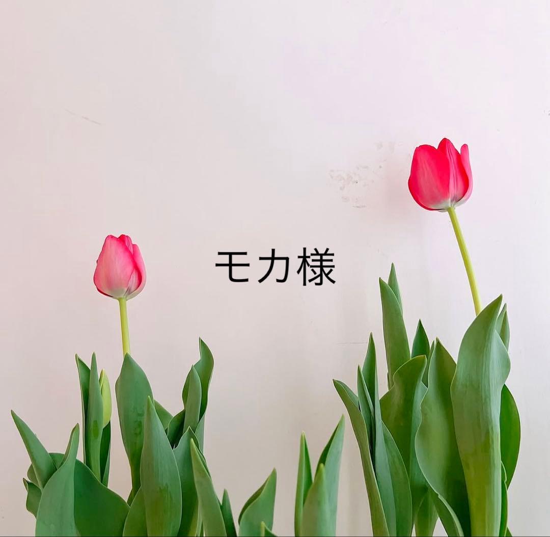 モカ　クレンザー2本 クリーム２個 モカ クレンザー2本 クリーム2個 モカ クレンザー2本 クリーム2個