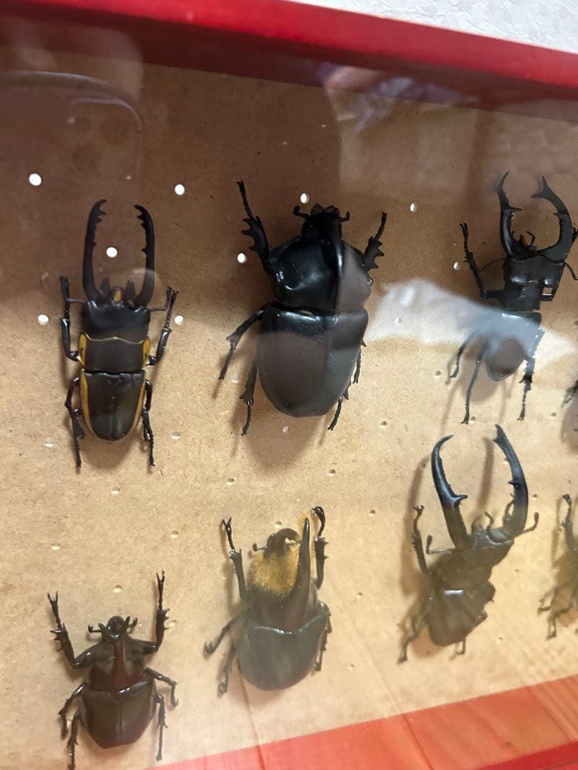 送料無料！ディアゴスティーニ 世界の昆虫 フィギュアセット 11体