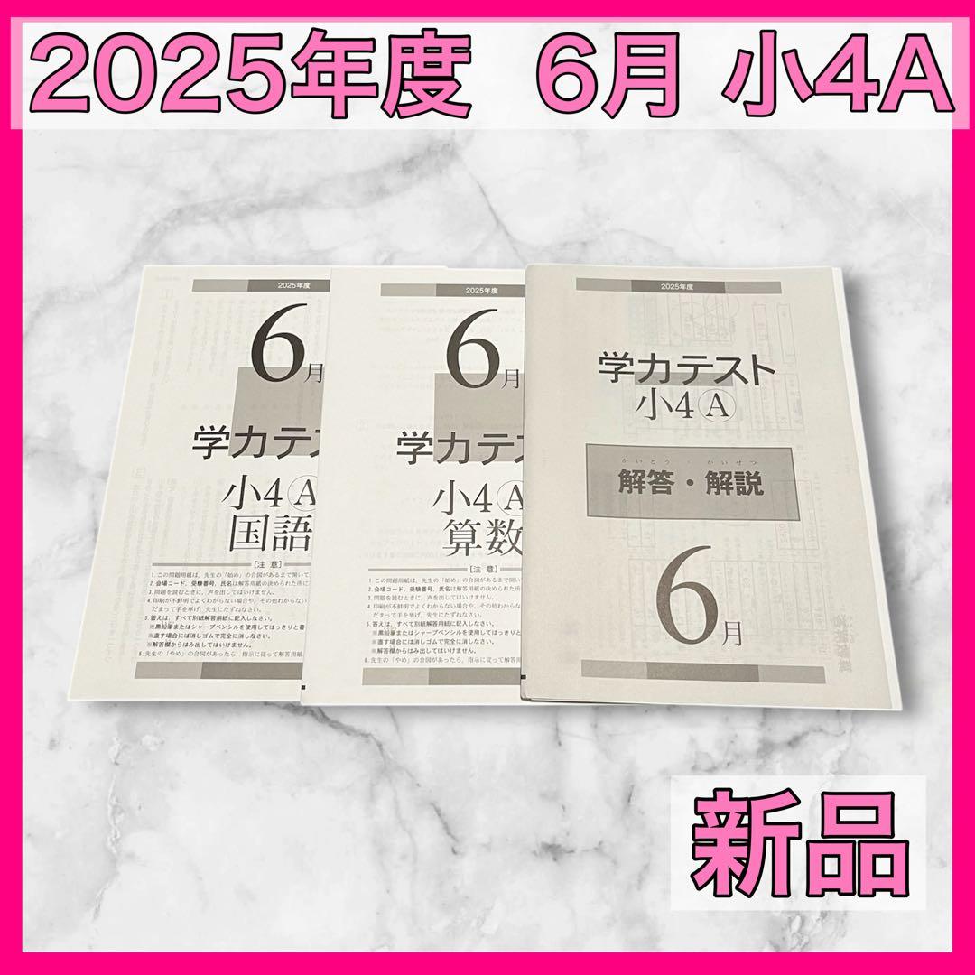 育伸社 学力テスト 2025年 6月 小4 A 2科 解答解説 国語 算数 - メルカリ