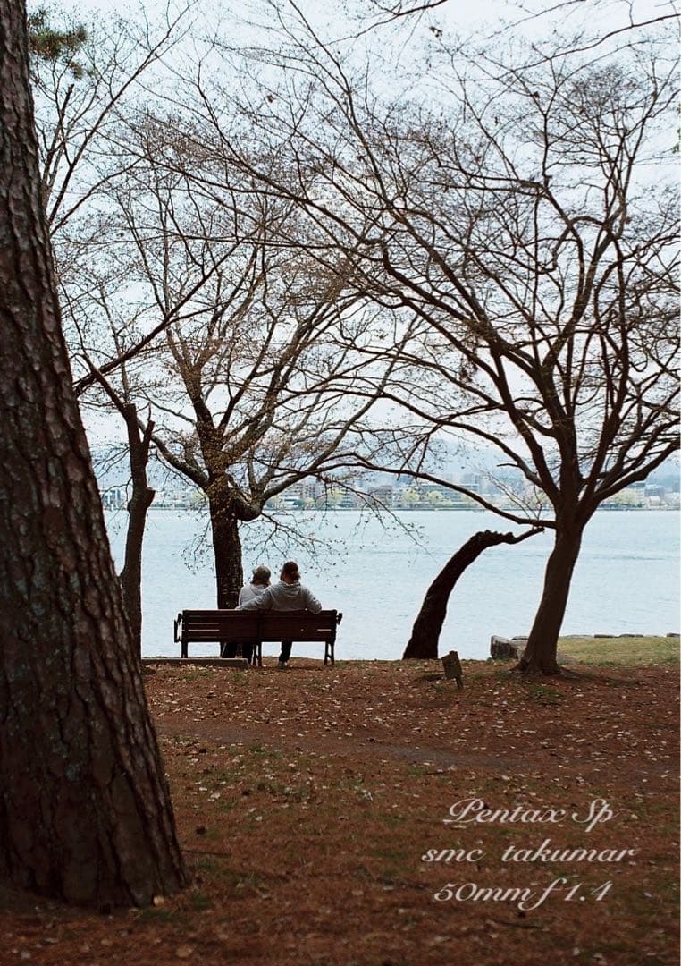 ☆完動品＊美品☆pentax sp☆smc f1.4☆初期保証＊作例必見 - メルカリ