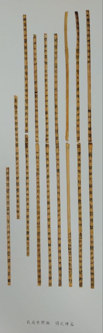 上海博物館蔵戦国楚竹書(五) 中国戦国時代 竹簡 上海古籍出版社 諸子百