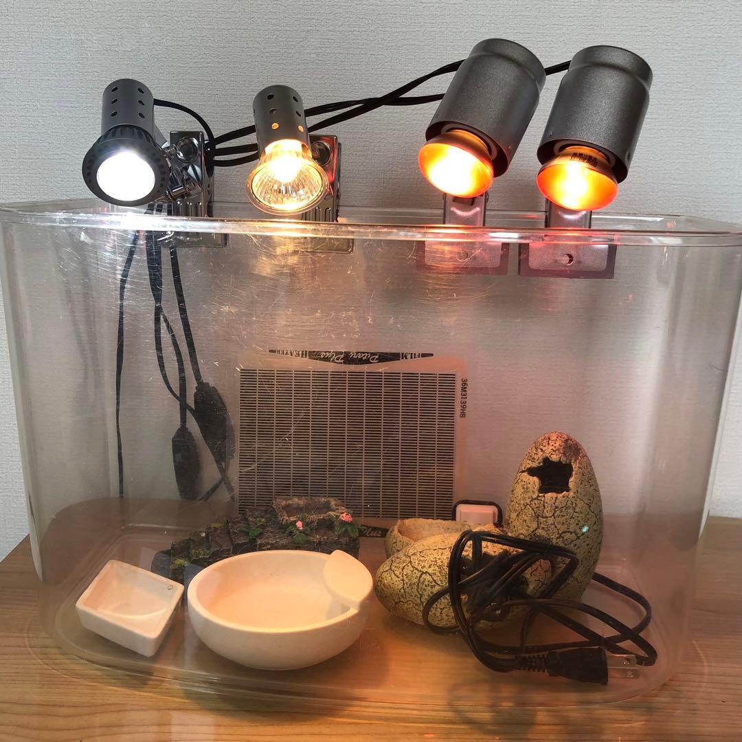 爬虫類 トカゲ カメ UV LED 照明 紫外線 ライト バスキングセット 楽天市場】爬虫類 ライト 紫外線 爬虫類 バスキングライト 亀 ライト
