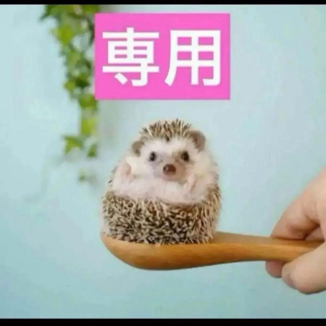 2点、カプチュールローション、カプチュールリッチクリーム 試してみた】Dior カプチュール トータル セル ENGY リッチ クリームの