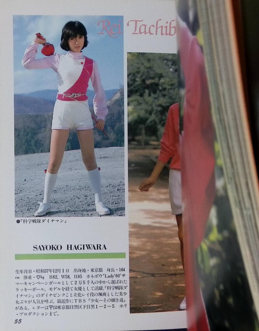 宇宙船別冊 スーパー・ギャルズ・コレクション '84 「夢・翔・女