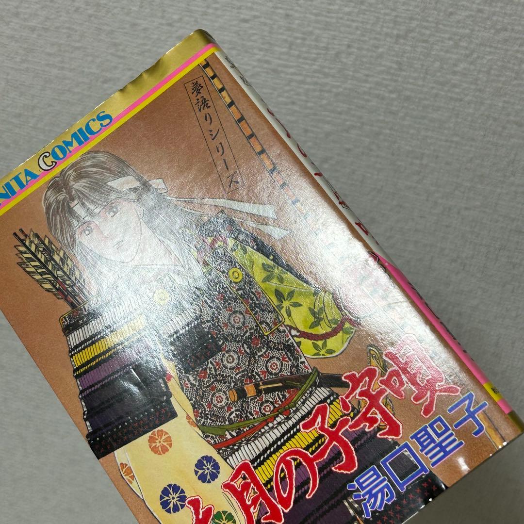夢語りシリーズ 明日菜の恋歌 風の墓標 2.3.4.5巻 10冊セット 湯口聖子