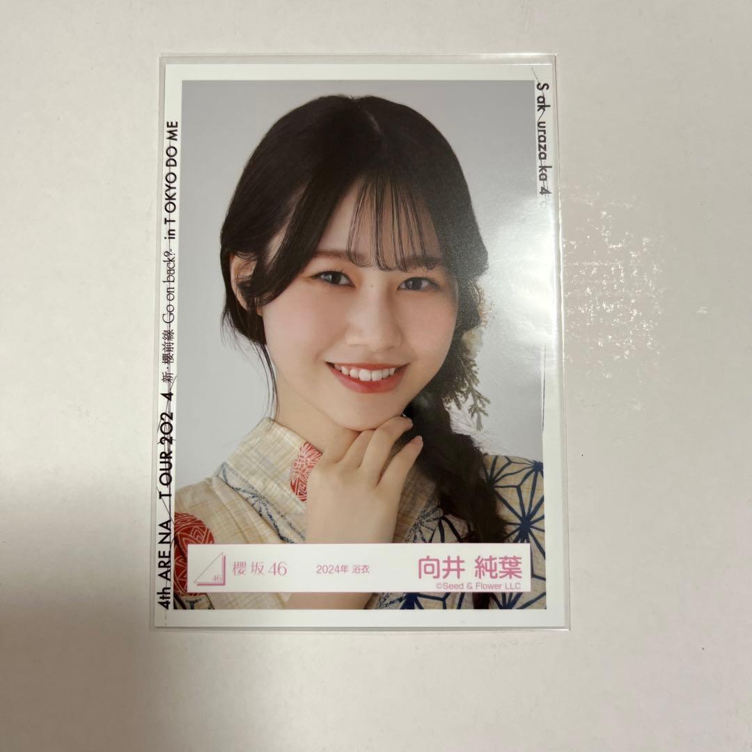 ☆直筆サイン 櫻坂46 向井純葉 2024年 浴衣 生写真 ヒキ