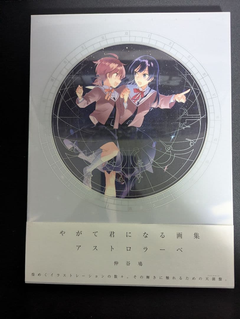 やがて君になる 画集 アストロラーベ レア 帯・カバー付き - メルカリ