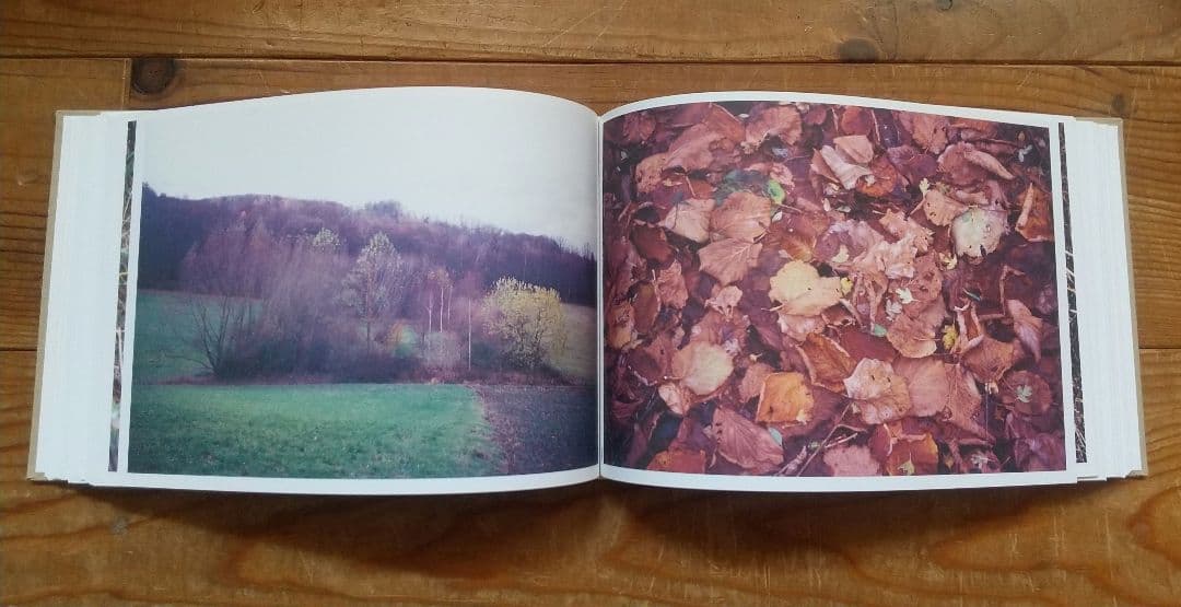 The Meadow Eschenau 1986-2013 tamiser購入