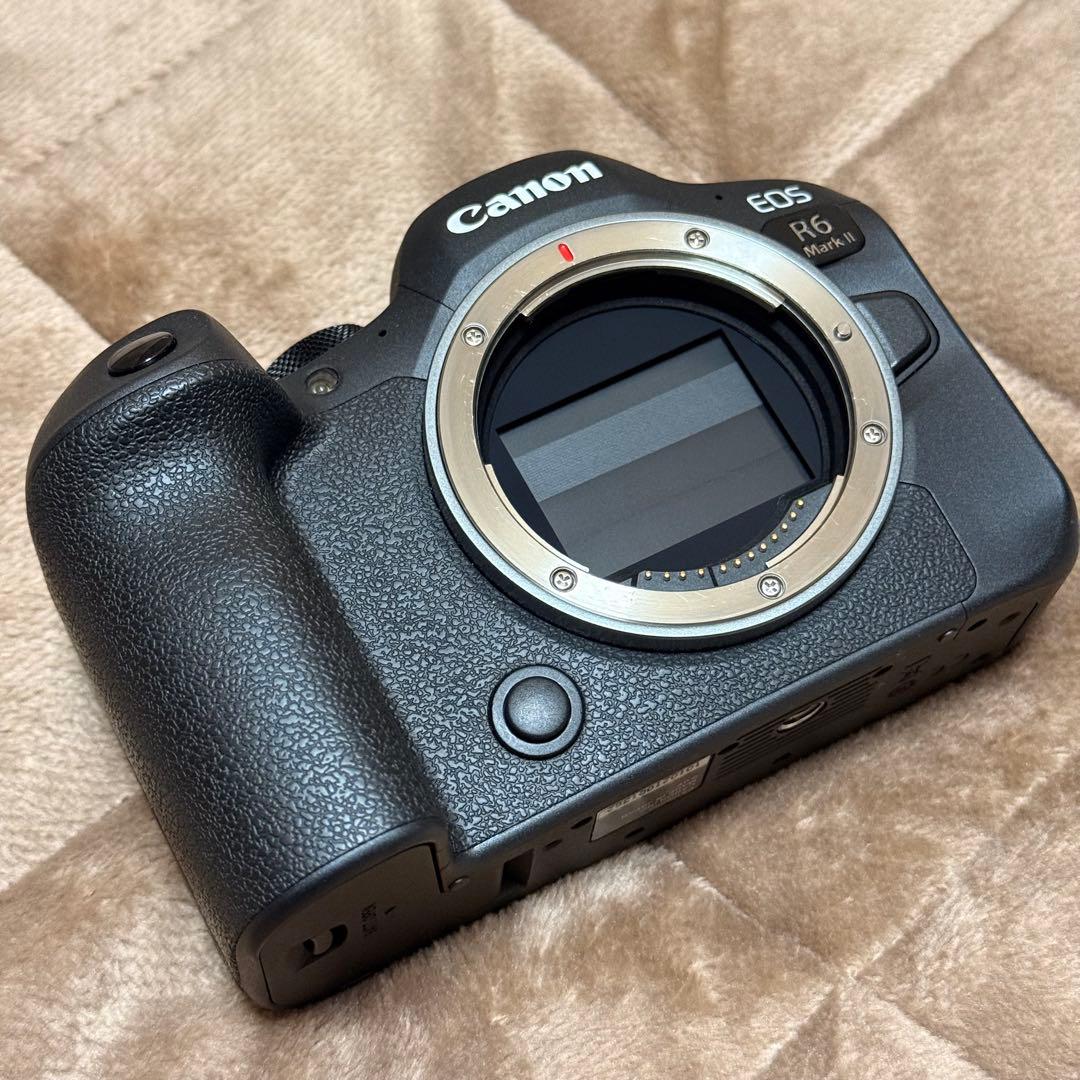 Canon EOS R6 Mark Ⅱ 純正予備バッテリーセット - メルカリ