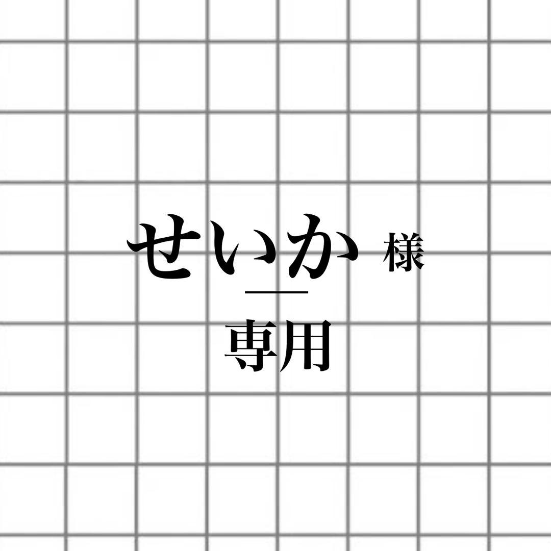 せいか  CARNEL 1/64 日産 フェアレディ Z Version ST Customized Edition 2023