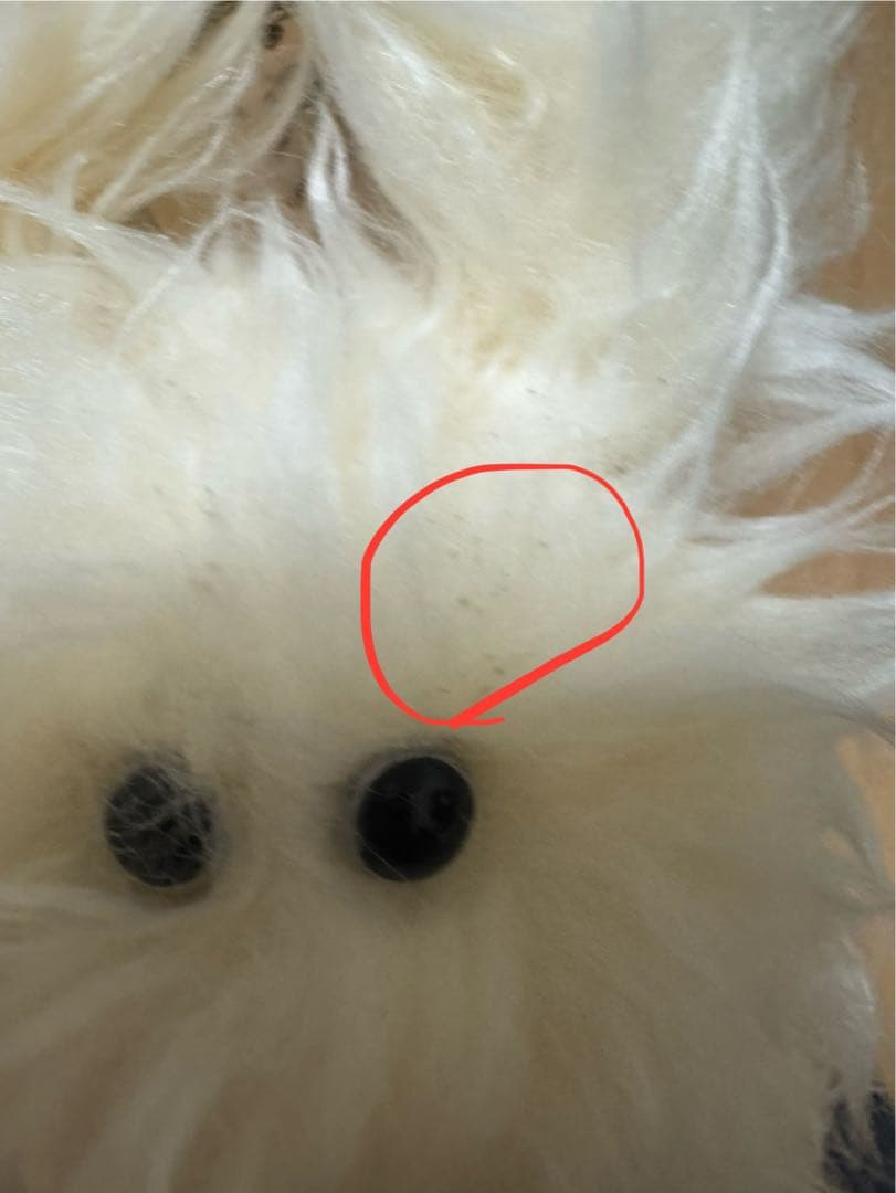 佐々木敦矢 Fe3O4:BREAK 限定盤 アルバム モケモケ