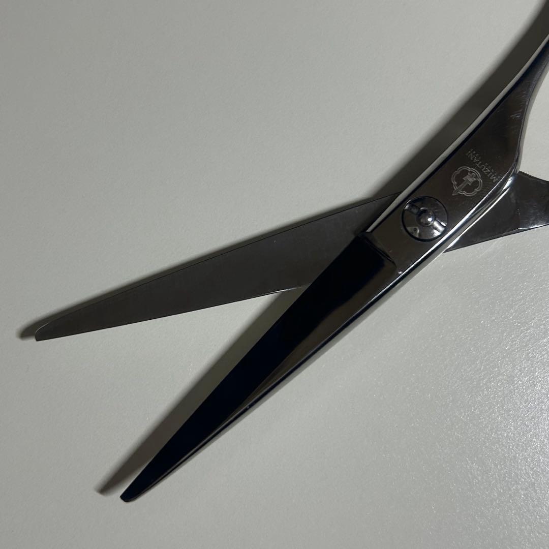 ミズタニ シザー セニング 2本セット 美容師国家試験 美容学生 - メルカリ