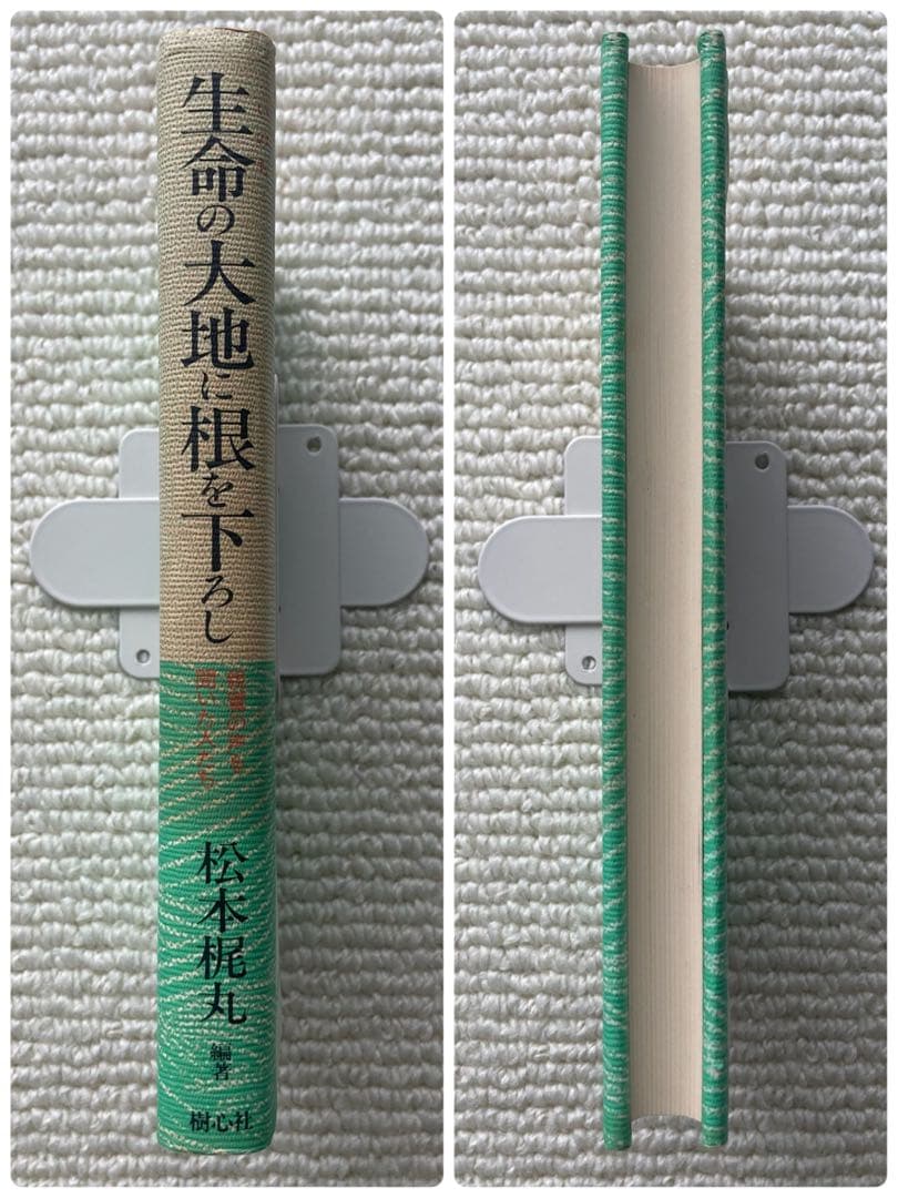 生命の大地に根を下ろし 親鸞の声を聞いた人たち/松本梶丸