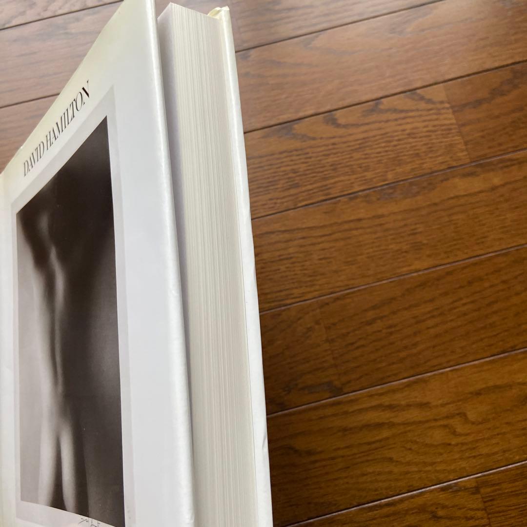 レア　洋書DAVID HAMILTON 写真集 TWENTY F…