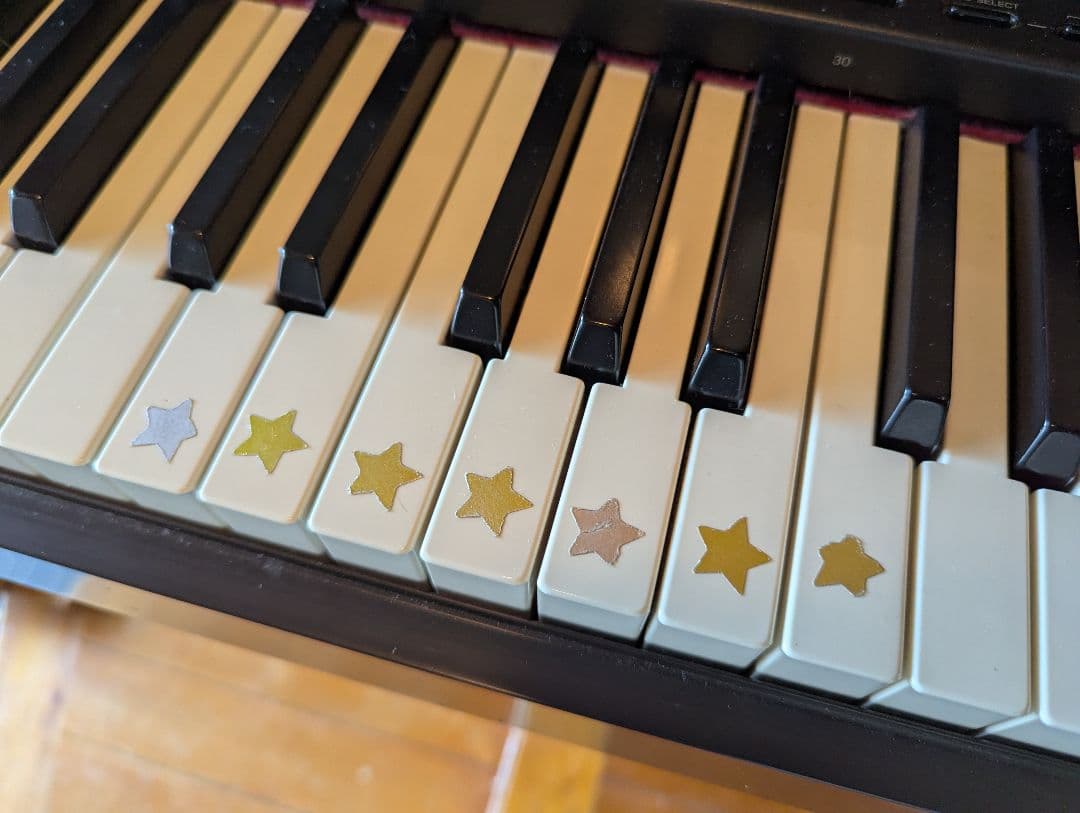 値下げ！【埼玉北部群馬南部引き取り限定】CASIO 電子ピアノ 88鍵