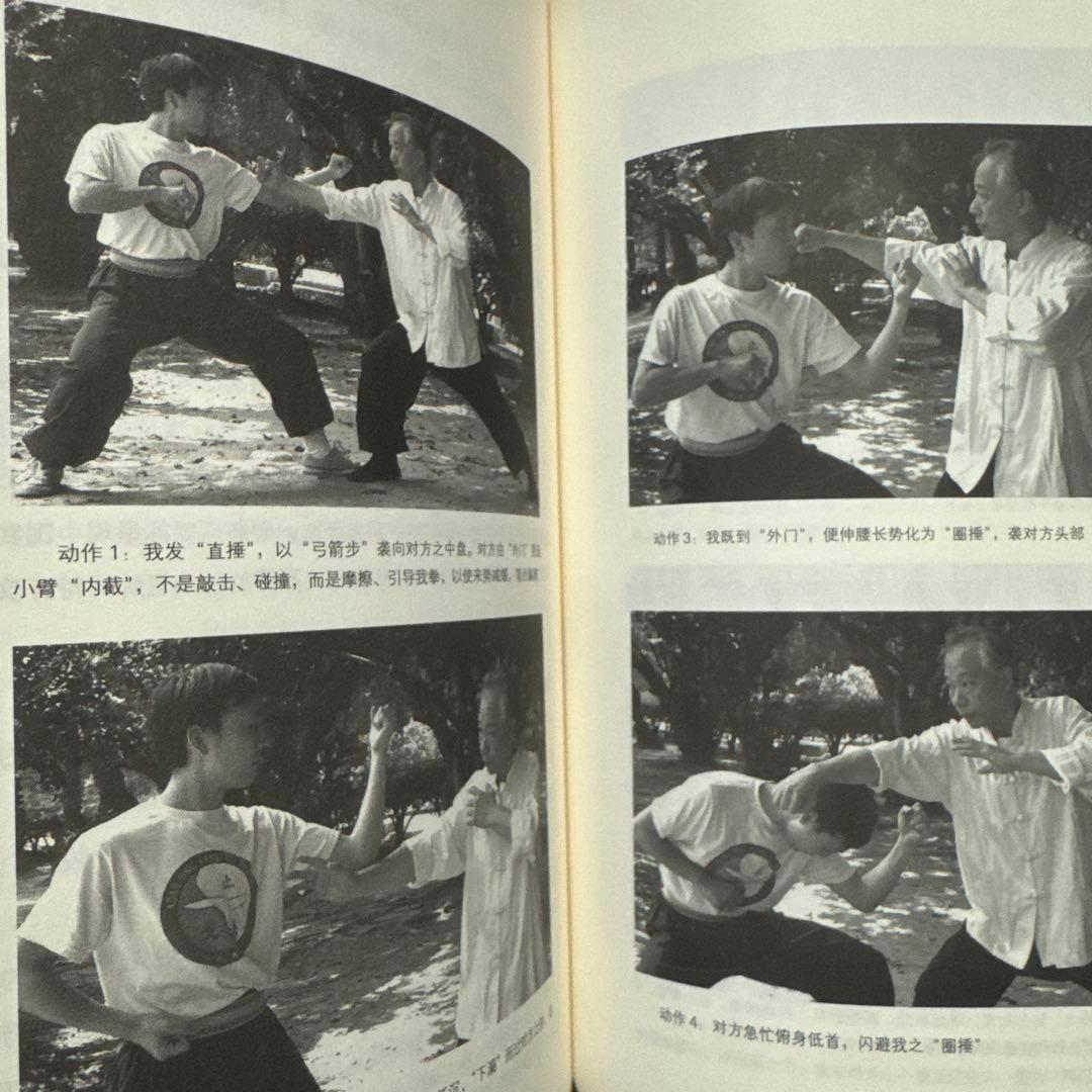 中国武術】八極拳心法 徐紀著 武壇120分練法、840分理論動画（QRコード